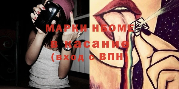 шишки Баксан