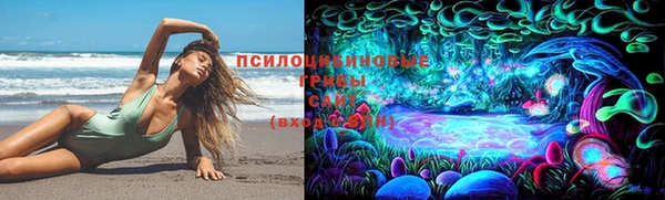 шишки Баксан