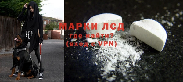 шишки Баксан