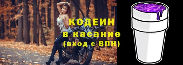 шишки Баксан
