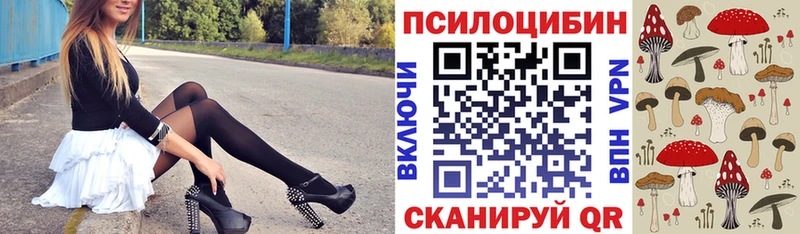 Галлюциногенные грибы GOLDEN TEACHER  Купить  Курчатов 